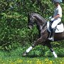I Z C < > ; F a v o r i t e n ;